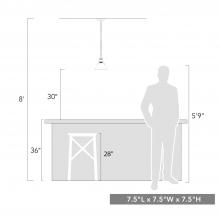 3306-S BCB-DB_scale.jpg